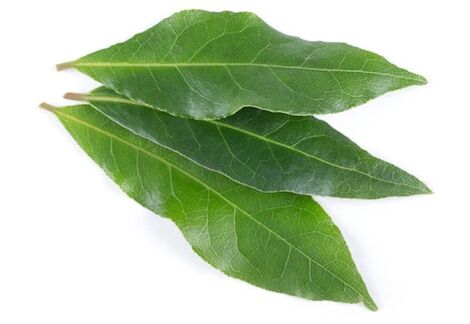 NEOflorax bevat laurier