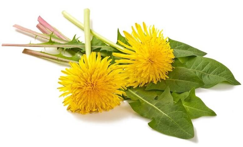 NEOflorax bevat paardenbloem